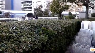 【9总全国探花】黑裙妹子撸硬舔弄，69口交骑脸插嘴后入抽插猛操
