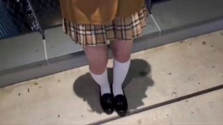 喜剧片《青春禁区动漫》手机高清免费在线观看